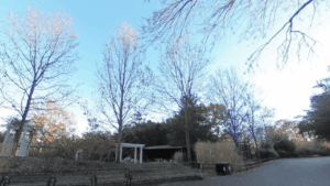 The Smithsonian National Zoological Park Washington DC