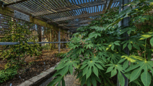 JC Raulston Arboretum Raleigh, NC