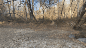 Gunpowder Falls State Park Hammerman Area White Marsh, MD