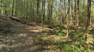 Honeygo Run Regional Park And Community Center White Marsh, MD